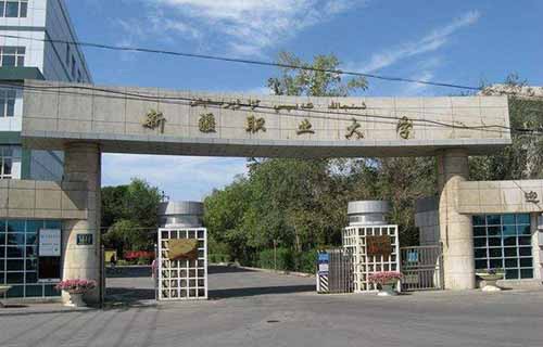 新疆职业大学
