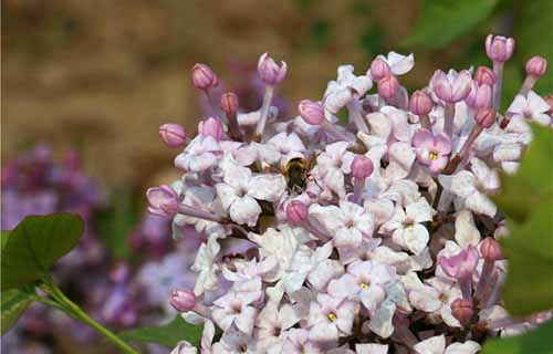 定西地区卫生学校