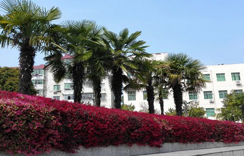 西和西峪电脑学校