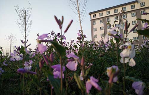 舟曲县职业中学