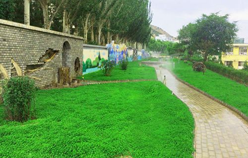 原平市星海艺术学校