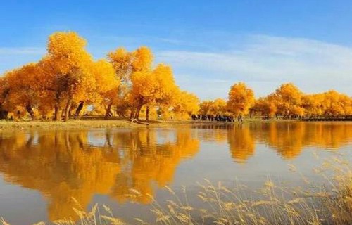 金塔汽车修理中等专业学校