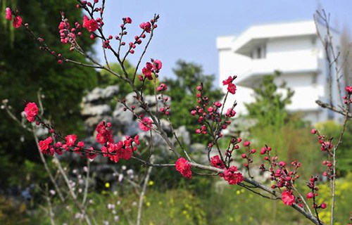 武汉中原通航技工学校