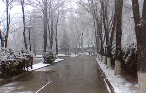 甘肃煤炭工业学校