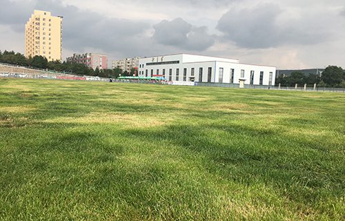 甘肃省临夏州职业技术学校