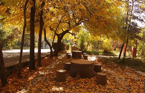 甘肃省临夏州职业技术学校