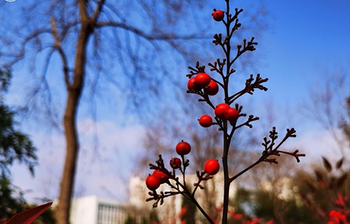 定西高级职业技术学校