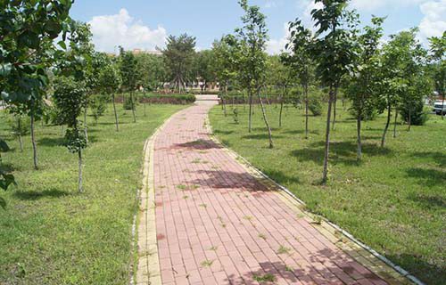 定西高级职业技术学校