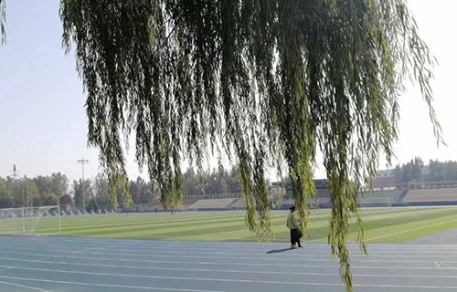 西安新文明医护职业学校