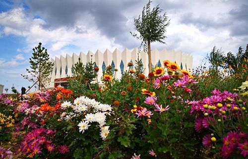 兰州中泰联合职业学校