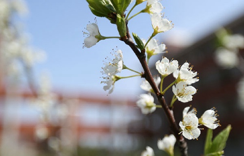 高台职业中等专业学校