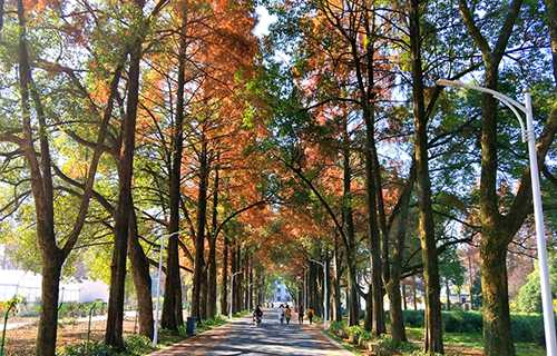翼城县职业中学