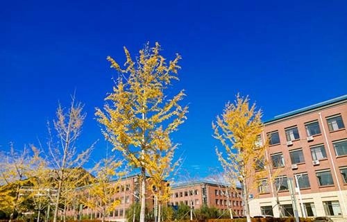 西和西峪电脑学校