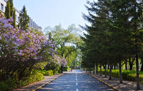 西和西峪电脑学校