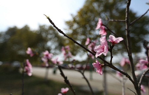 会宁职业中等专业学校