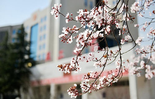 靖远职业中等专业学校