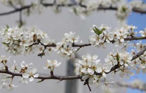 武威远博技工学校