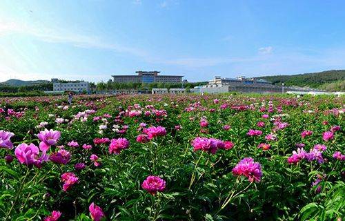 武威劳动服务技工学校