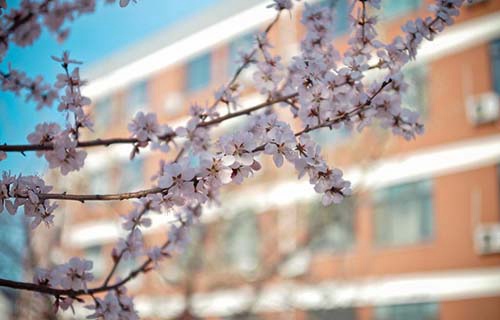 甘肃北方技工学校