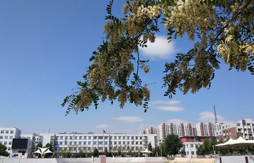 甘肃装备制造业技师学院