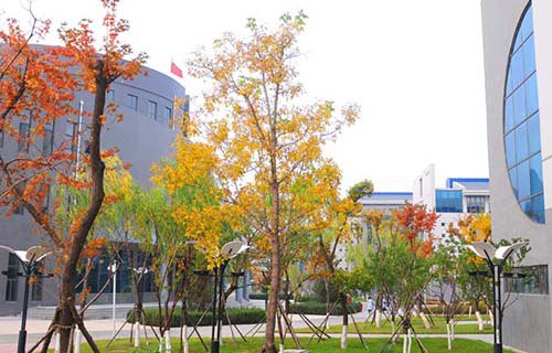 甘肃装备制造业技师学院