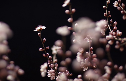 甘肃有色金属技师学院