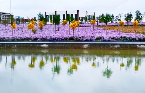 甘肃有色金属技师学院