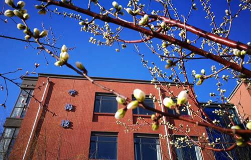 稷山县职业中学