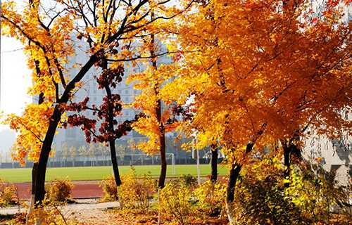 稷山县职业中学