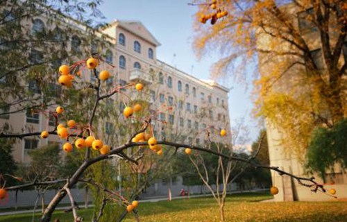 正宁职业技术中学