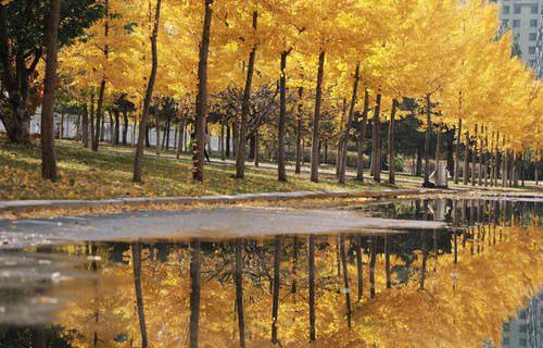 正宁职业技术中学