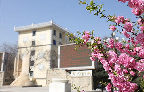 宕昌职业技术学校
