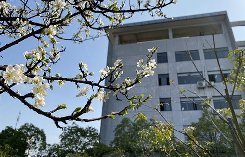 永登中等职业技术学校