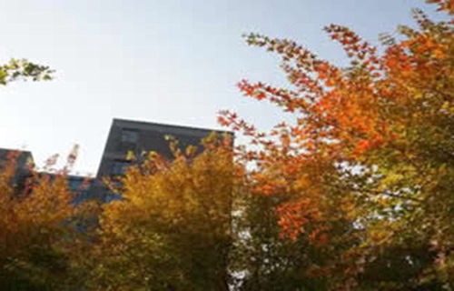 太原大学附属职业中学