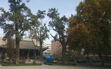 铜川市印台区职业技术学校