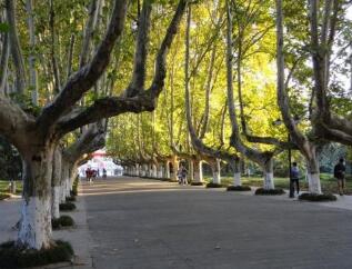 诸暨市西子旅游学校