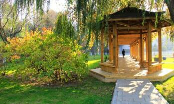 扶风县职业教育中心