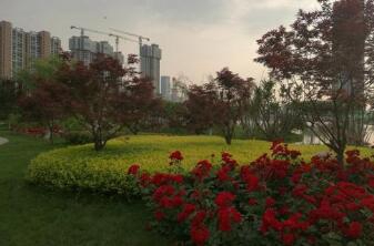 户县职业教育中心