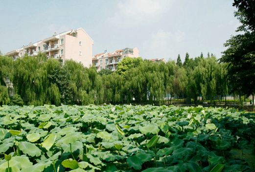 安徽交通职业技术学院