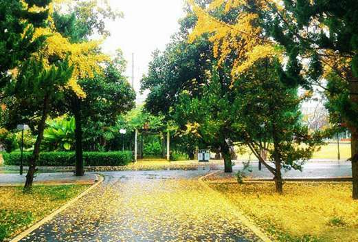 滁州学院成人教育学院