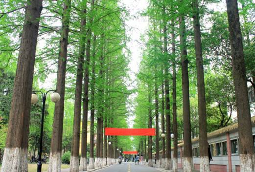 滁州学院成人教育学院