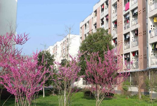 皖西卫生职业学院