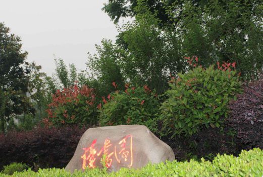 皖西卫生职业学院