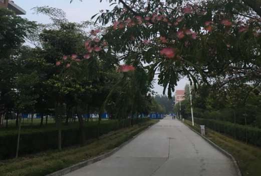 安徽淮南卫生学校