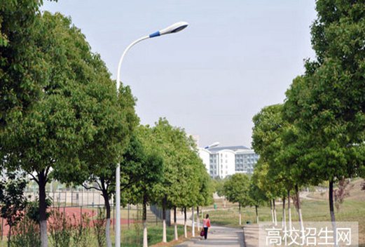 安徽财贸职业学院