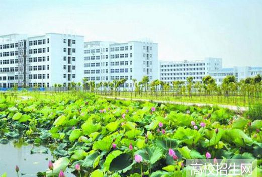 安徽扬子职业技术学院