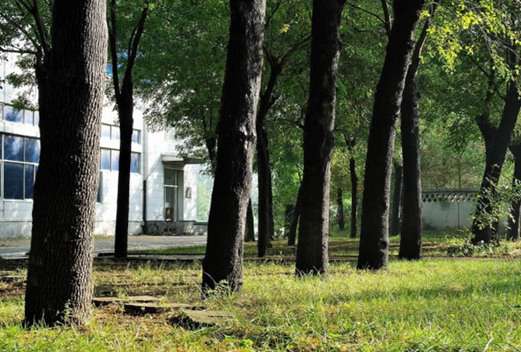 天津市药科中等专业学校