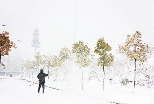 合肥科技职业学院