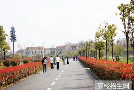 合肥科技职业学院