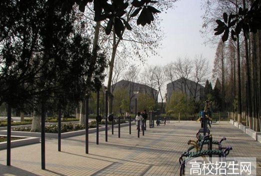 滁州城市职业学院